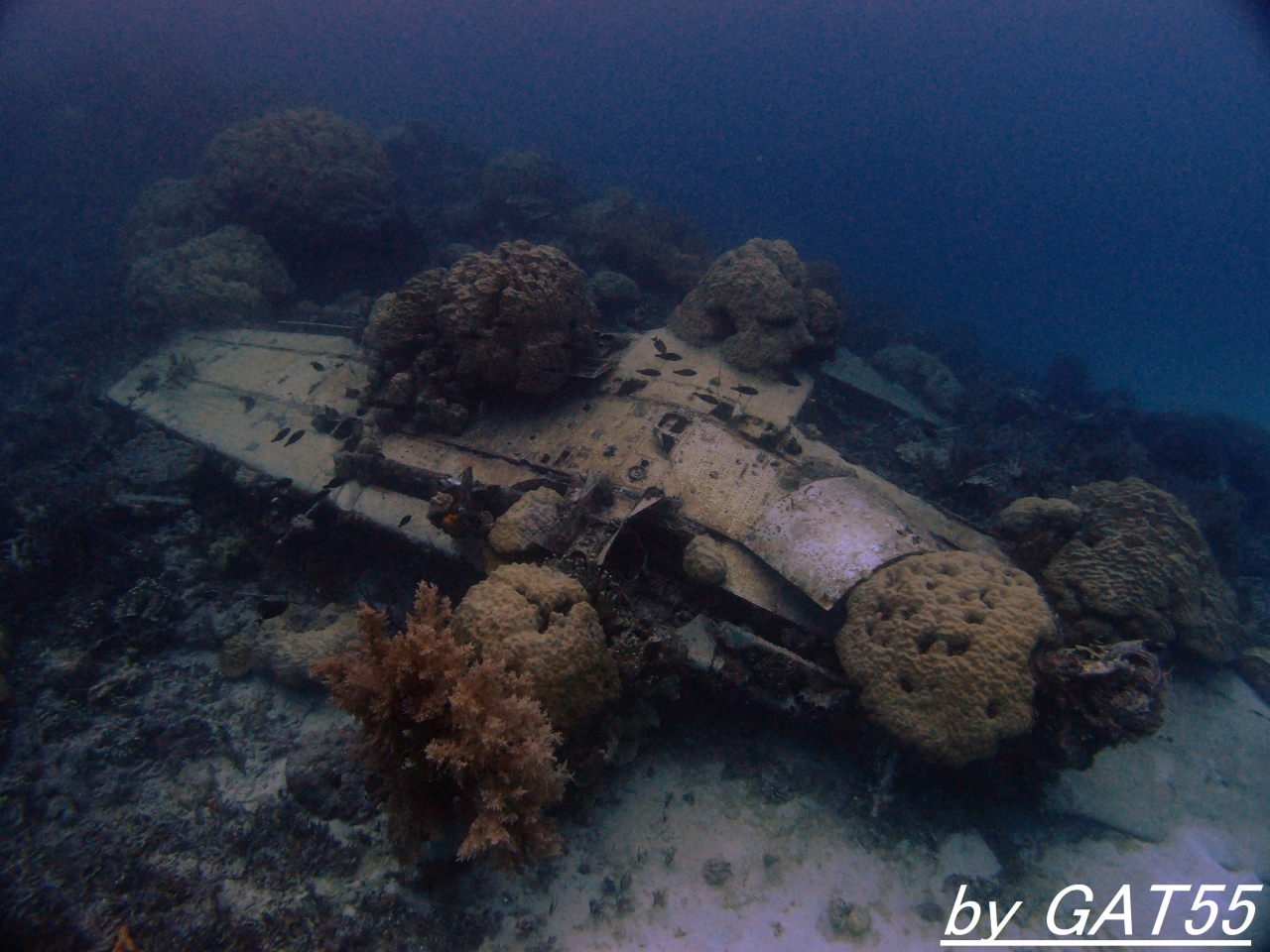 71年前の戦場へトラック諸島でdive 零式艦上戦闘機 Zeke チュック トラック ミクロネシア の旅行記 ブログ By Gatさん フォートラベル 71年前の戦場へトラック諸島でdive 零式艦上戦闘機 Zeke チュック トラック ミクロネシア の旅行記 ブログ By Gatさん フォートラベル