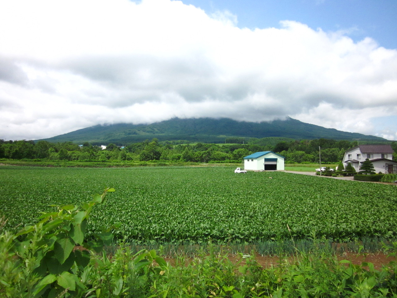 15年初夏のニセコ 飲んだっくれの旅 ニセコ 北海道 の旅行記 ブログ By Katsu3さん フォートラベル