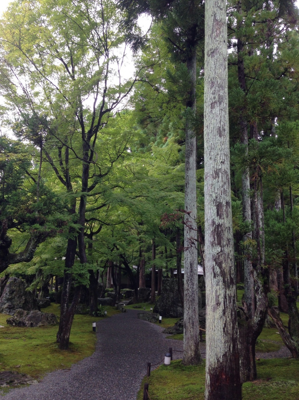 北庭 日本庭園 しょうざんリゾート 今出川 北大路 北野 京都 の旅行記 ブログ By Momuさん フォートラベル