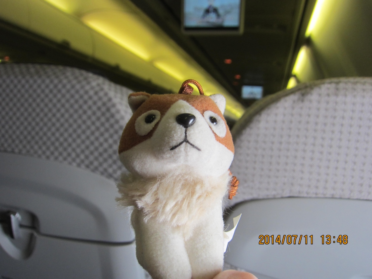 広島空港から羽田行きの飛行機乗っちゃいました 三原 広島県 の旅行記 ブログ By Kenji Minamiさん フォートラベル