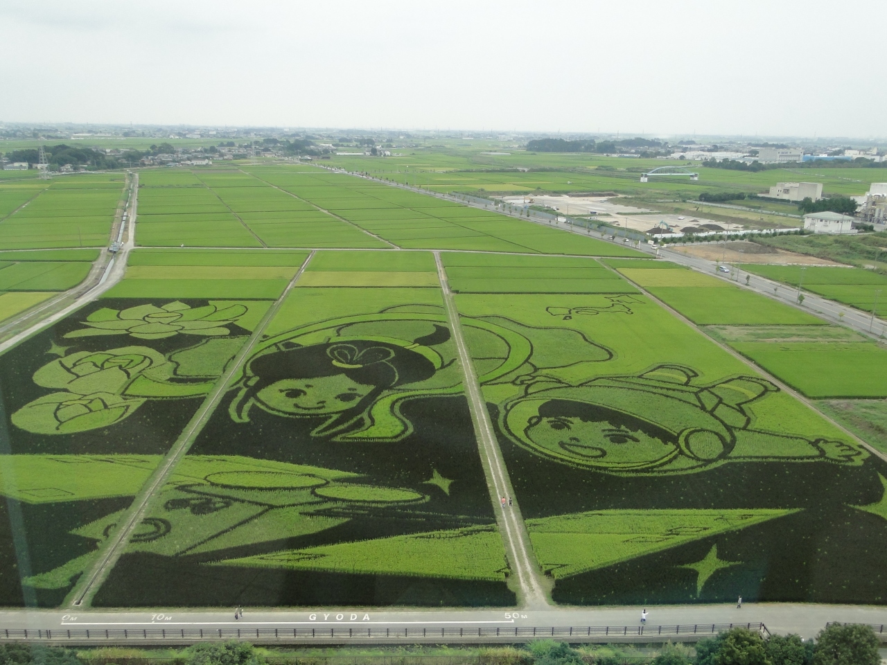 ギネスに登録された行田市の田んぼアート 行田 羽生 加須 埼玉県 の旅行記 ブログ By ひでちゃんさん フォートラベル