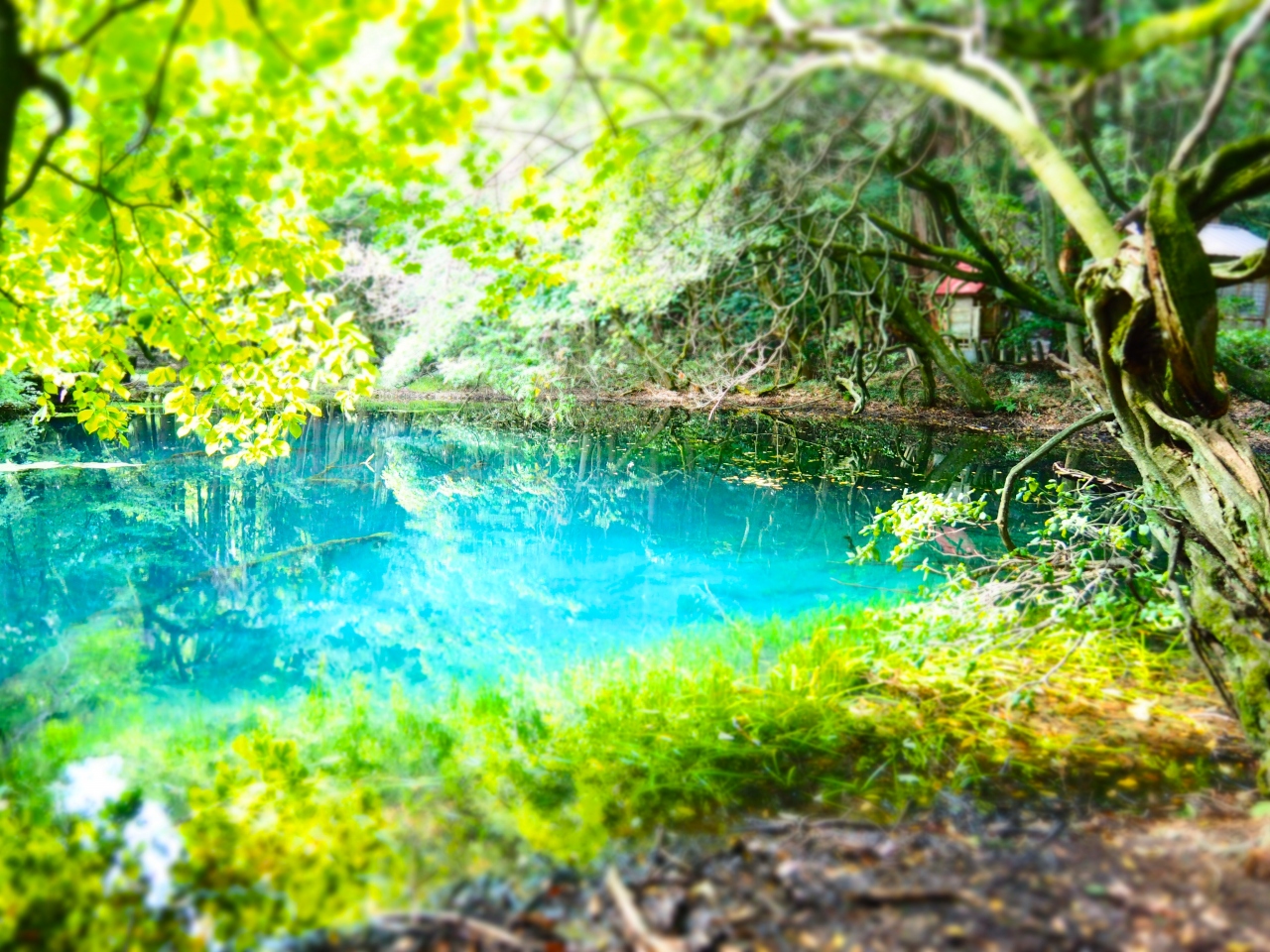 そうだ 恐山に行こう 山形の丸池様編 酒田 山形県 の旅行記 ブログ By とらさん フォートラベル