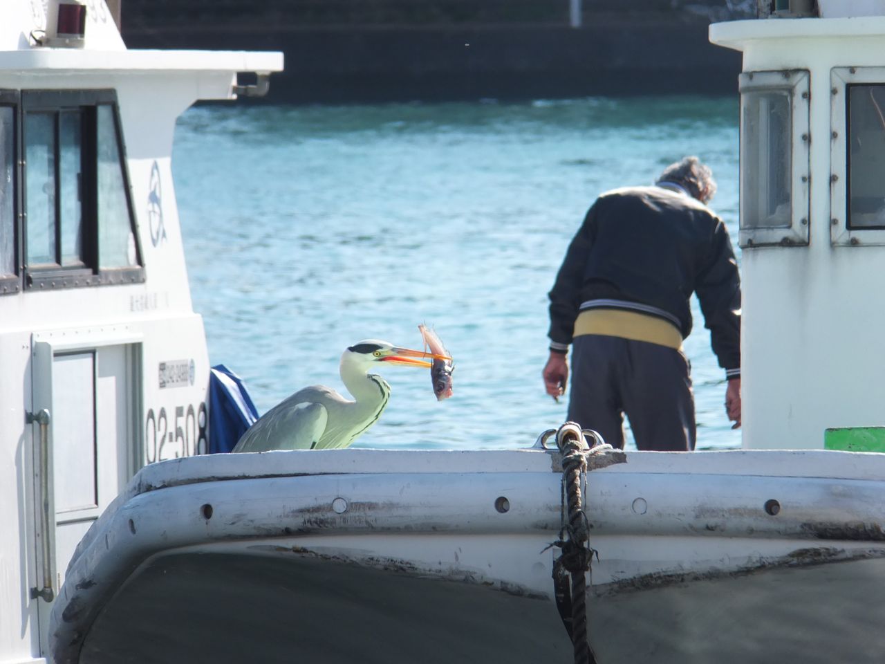 青春18きっぷで行く用宗港の生しらす丼とさった峠 前編 静岡市 葵区 駿河区 静岡県 の旅行記 ブログ By きゅういとせろりさん フォートラベル 青春18きっぷで行く用宗港の生しらす丼とさった峠 前編 静岡市 葵区 駿河区 静岡県 の旅行記 ブログ By きゅういとせろりさん フォートラベル