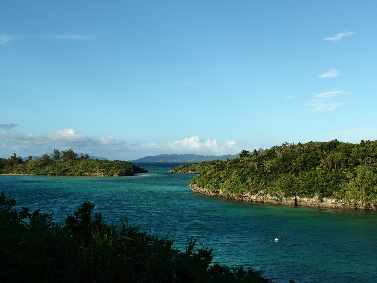 石垣島でダイビング』石垣島(沖縄県)の旅行記・ブログ by nanaさん 