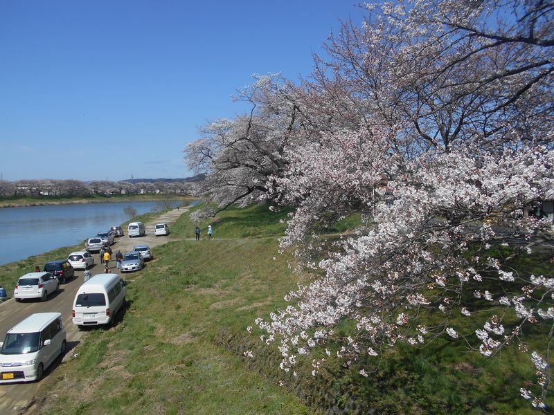 出勤前に ちょっと寄り道しました Vol 18 おおがわら桜まつり 仙台東照宮 東北福祉大鉄道交流ステーション 大河原 仙台 宮城 柴田 大河原 川崎 宮城県 の旅行記 ブログ By たぬき２号さん フォートラベル