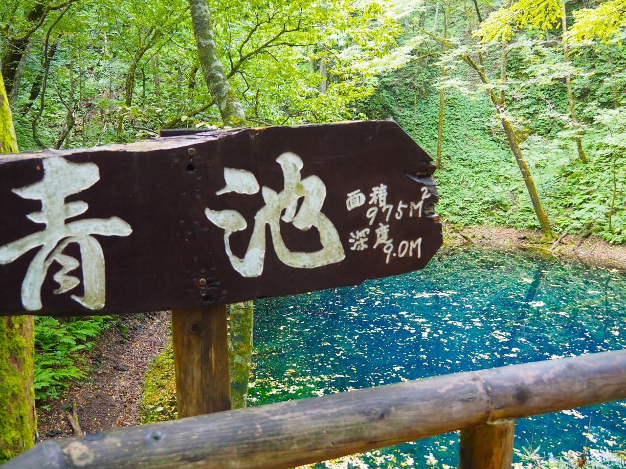 そうだ、恐山に行こう(青森・十二湖編)』白神山地(青森県)の旅行記・ブログ by とらさん【フォートラベル】 そうだ、恐山に行こう(青森・十二湖編)』白神山地(青森県)の旅行記・ブログ by とらさん【フォートラベル】