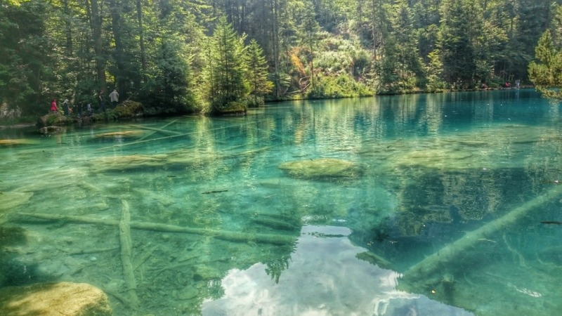 スイス 伝説の青い湖 Blausee スイス情報 Com その他の都市 スイス の旅行記 ブログ By Swissjoho Comさん フォートラベル