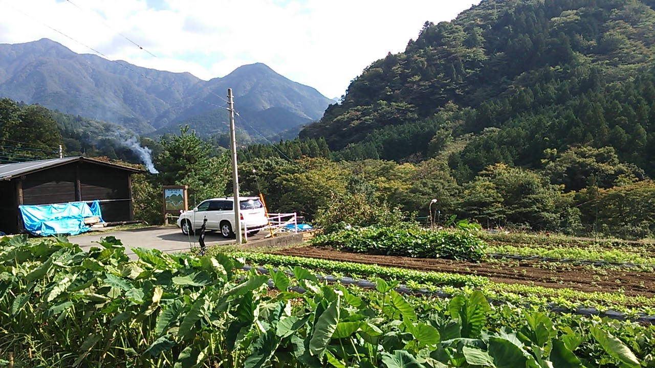 大室山へ独り登山 丹沢 大山 神奈川県 の旅行記 ブログ By うーき3さん フォートラベル