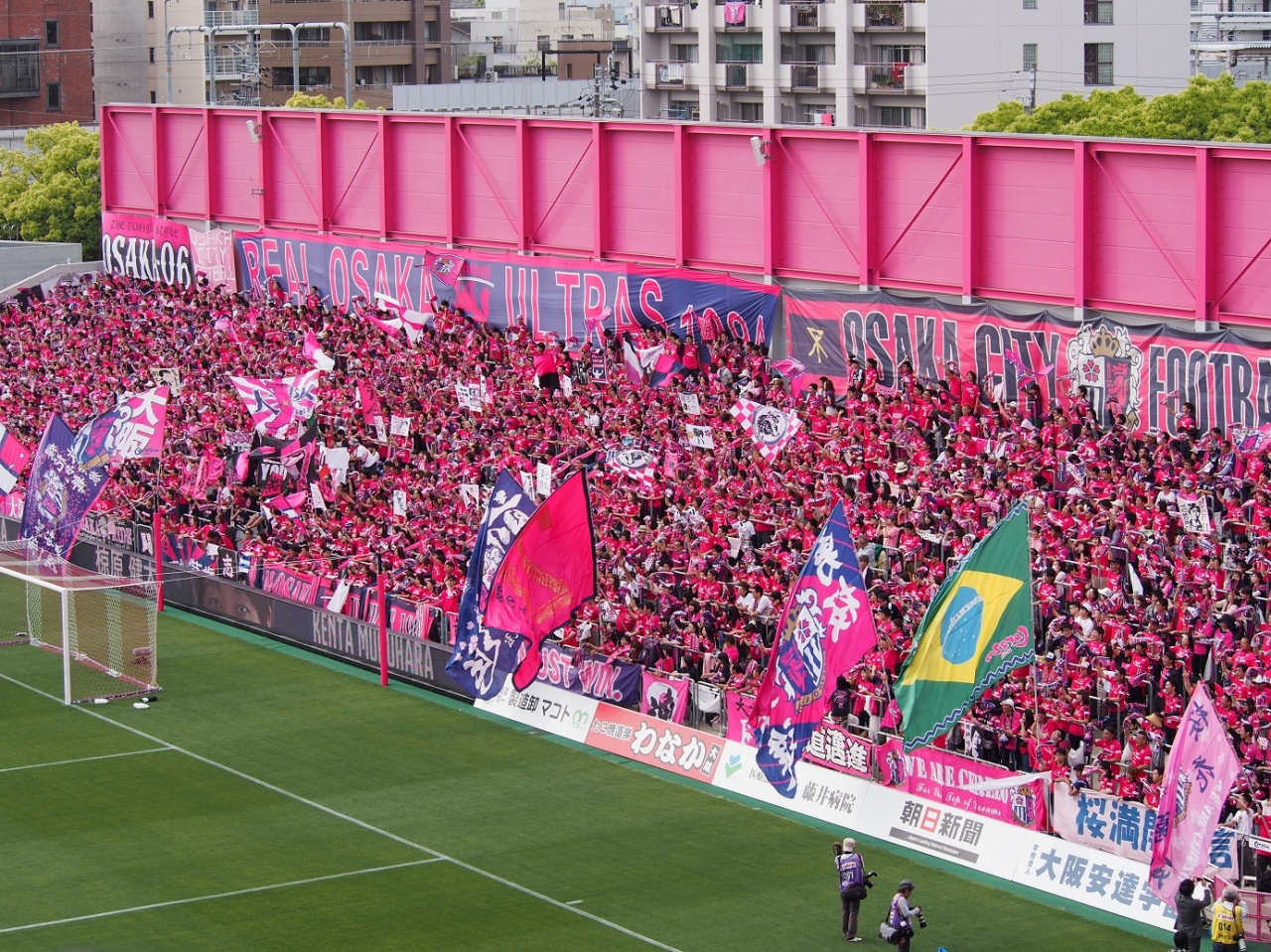 ロイヤリティフリーセレッソ 大阪 壁紙 最高の花の画像