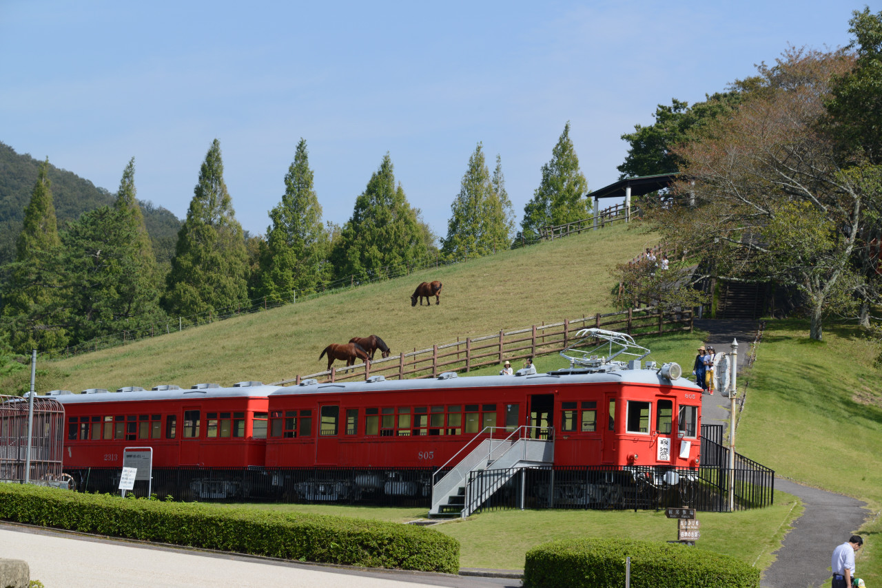 鞍 が 池 公園