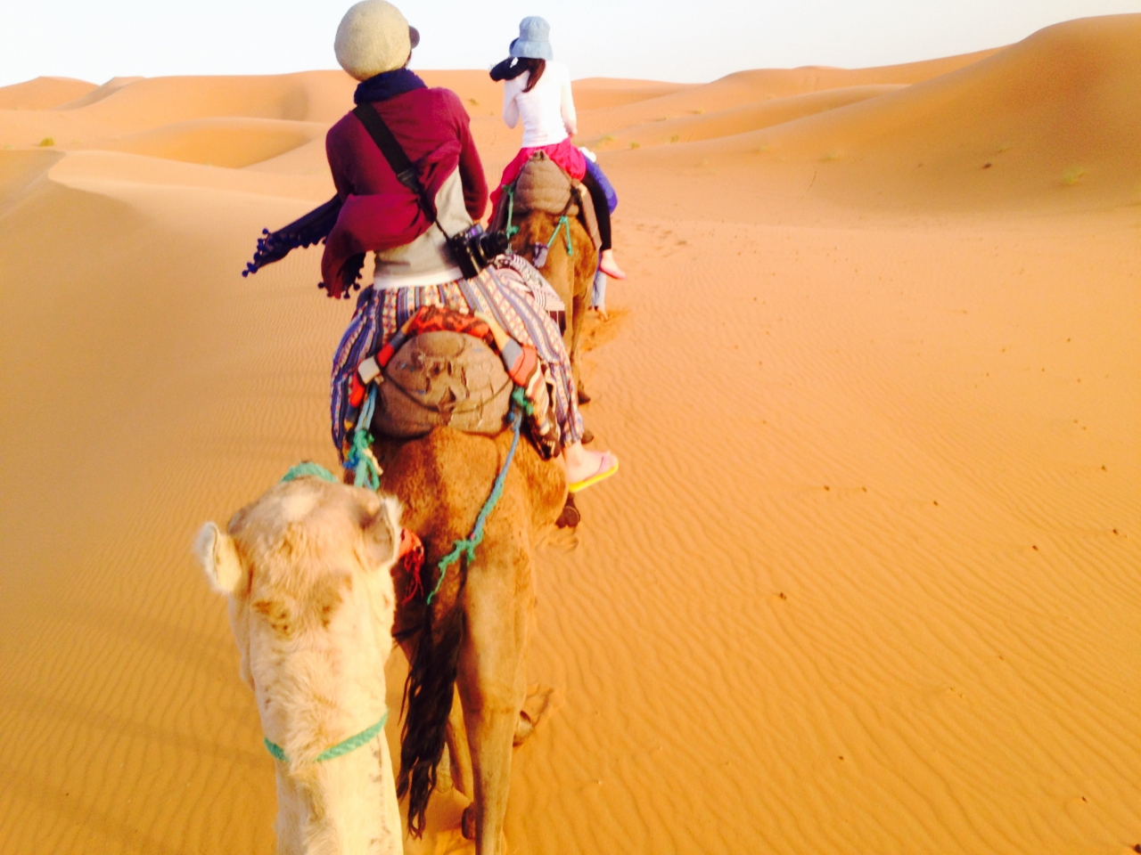モロッコ サハラ砂漠で ここをキャンプ地とする ワルザザート モロッコ の旅行記 ブログ By Misugismさん フォートラベル