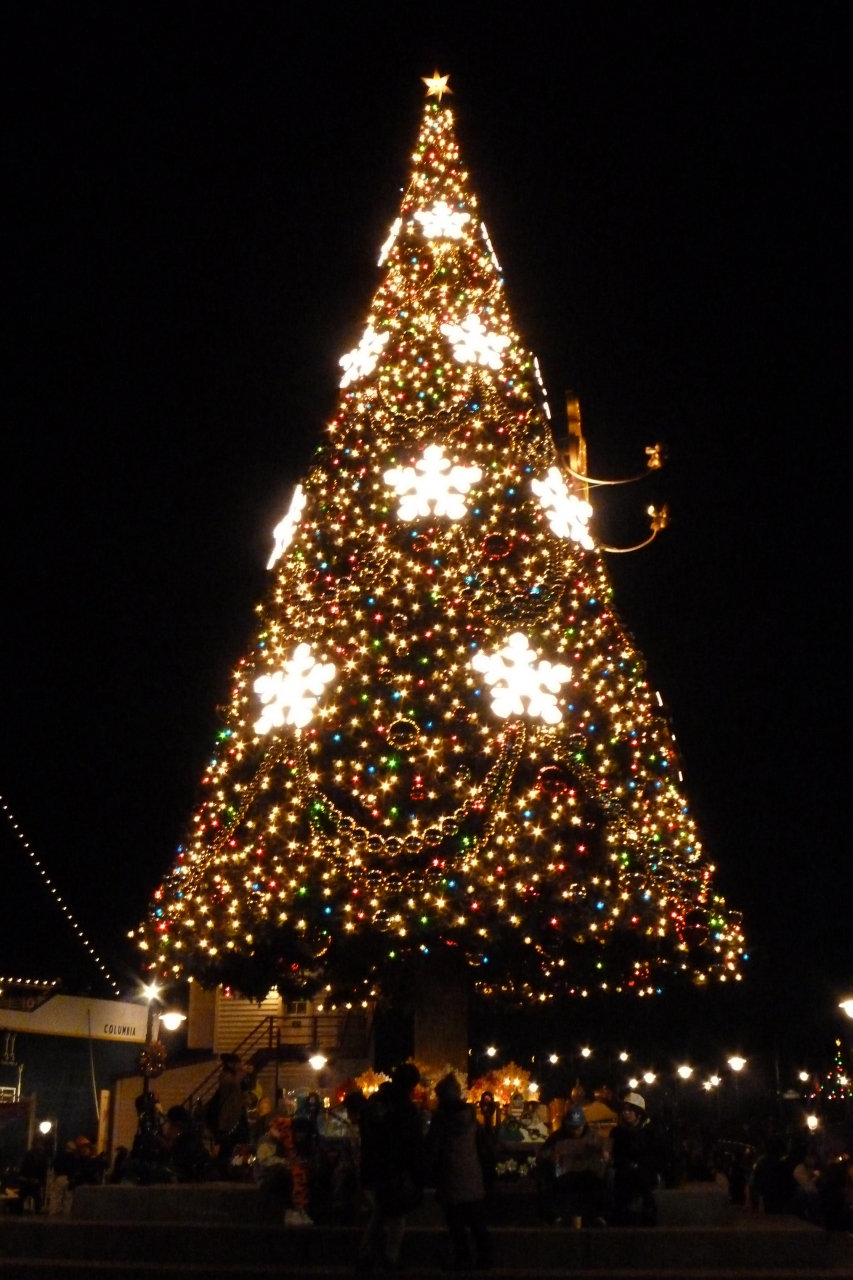 ２０１３年１２月２4日 東京ディズニーリゾート クリスマスを楽しんじゃおう 東京ディズニーリゾート 千葉県 の旅行記 ブログ By 千ちゃんさん フォートラベル