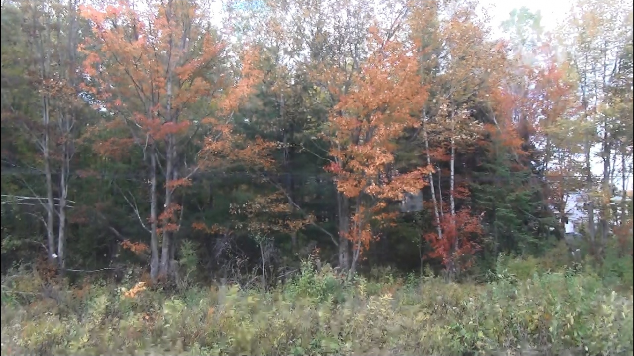 初めてのフリー海外旅行 In Canada 3日目 ケベック カナダ の旅行記 ブログ By 新米トラベラーさん フォートラベル