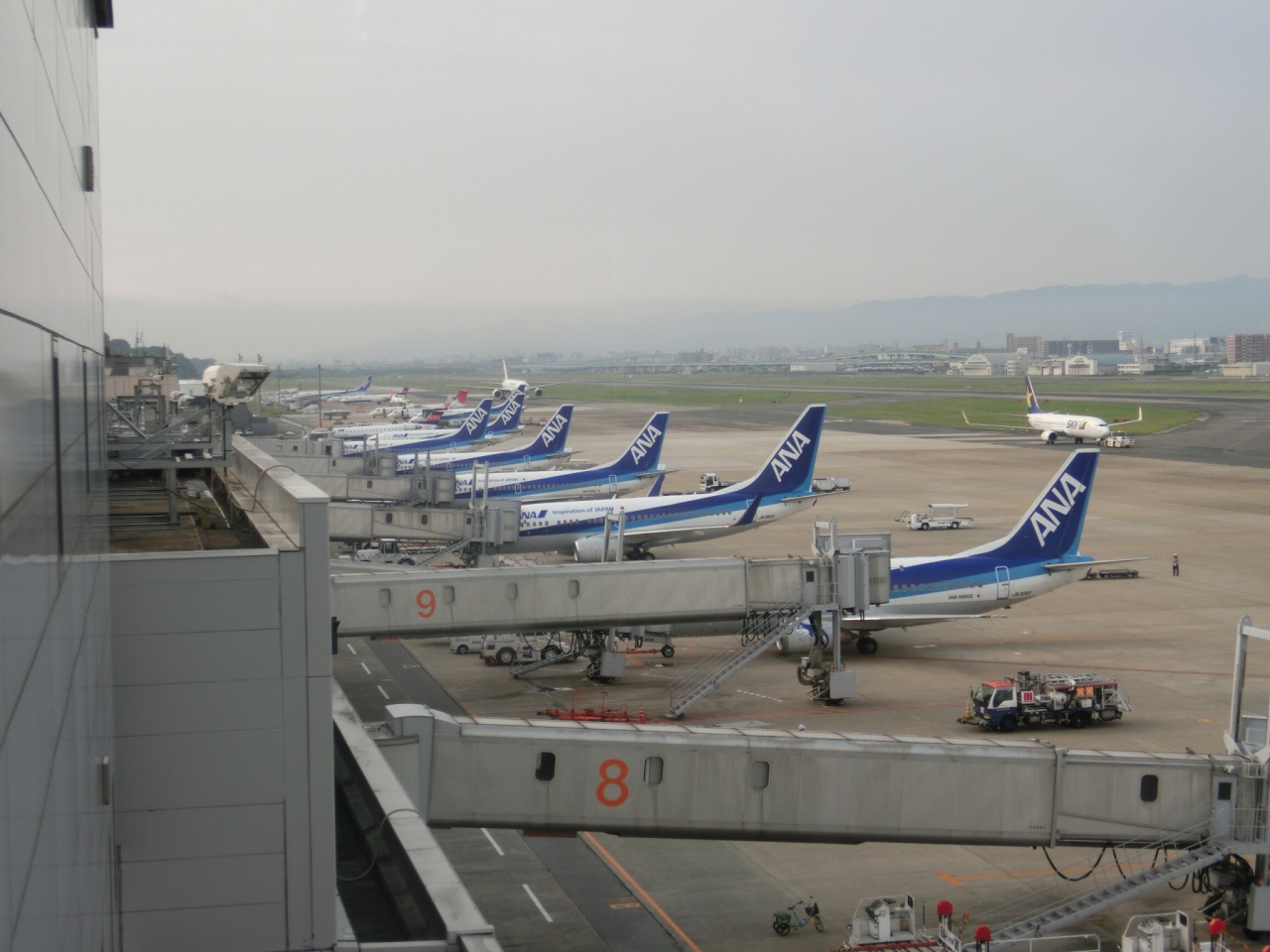福岡空港に飛来する飛行機を出来るだけ激写せよ 15年8月編 博多 福岡県 の旅行記 ブログ By 空を飛ぶなら青の翼に星屑の仲間たちさん フォートラベル