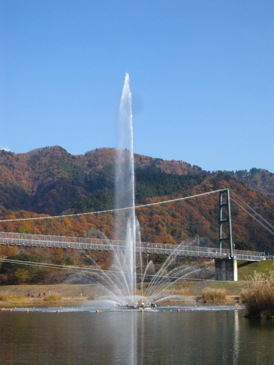 宮ヶ瀬湖 の紅葉 津久井湖 相模湖 神奈川県 の旅行記 ブログ By あんみつ姫さん フォートラベル