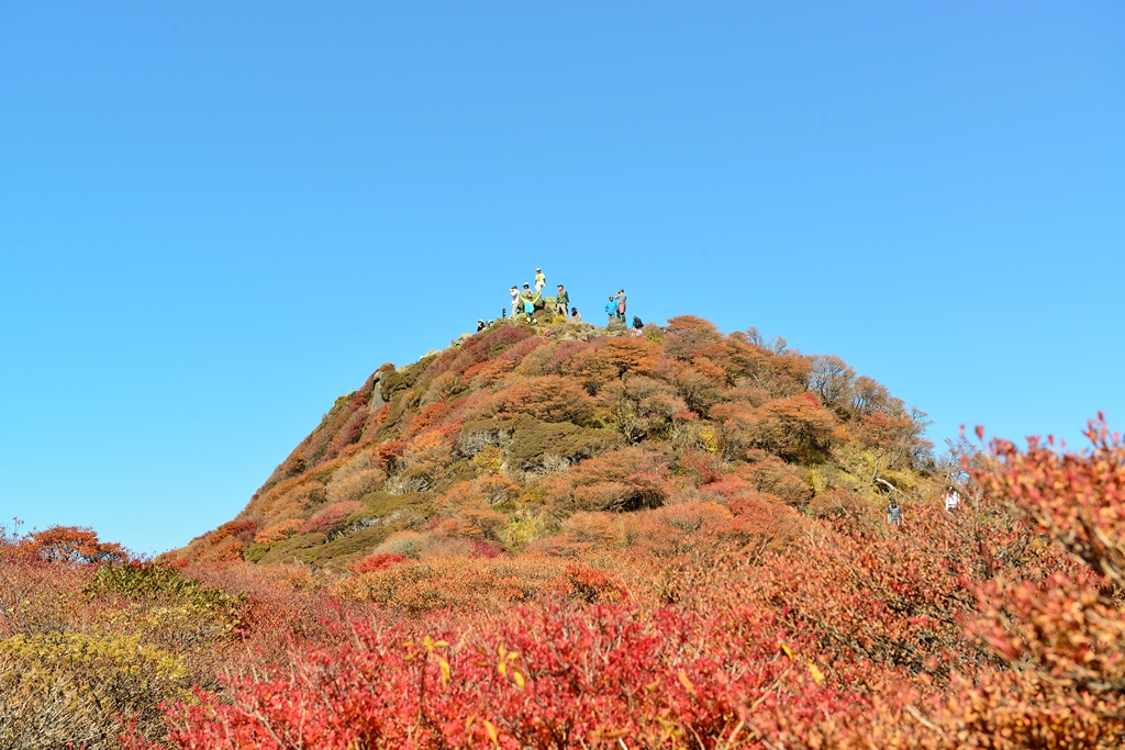 大船山の紅葉 竹田 大分県 の旅行記 ブログ By 気まぐれなデジカメ館さん フォートラベル