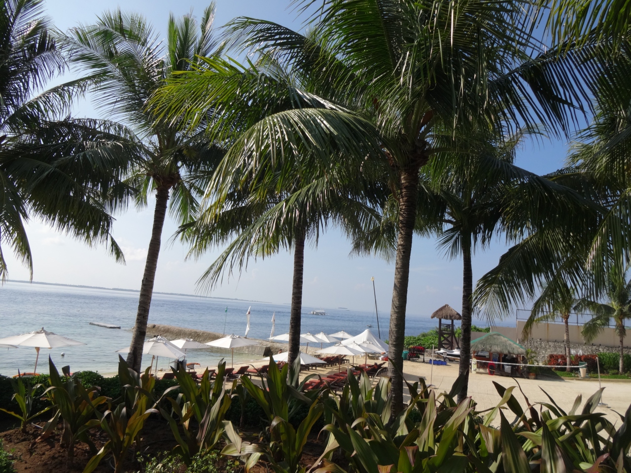 満喫クリムソンリゾート 夫婦でシュノーケルにハマる その1 セブ島 フィリピン の旅行記 ブログ By 禅太郎さん フォートラベル