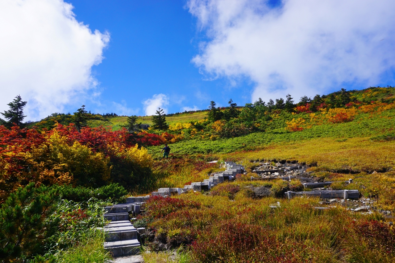 9月連休の北アルプス 朝日岳 雪倉岳 紅葉登山 長野県の旅行記 ブログ By みやっちさん フォートラベル