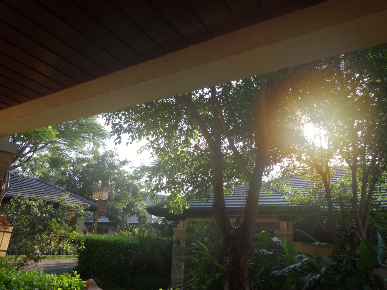 満喫クリムソンリゾート 夫婦でシュノーケルにハマる その2 セブ島 フィリピン の旅行記 ブログ By 禅太郎さん フォートラベル