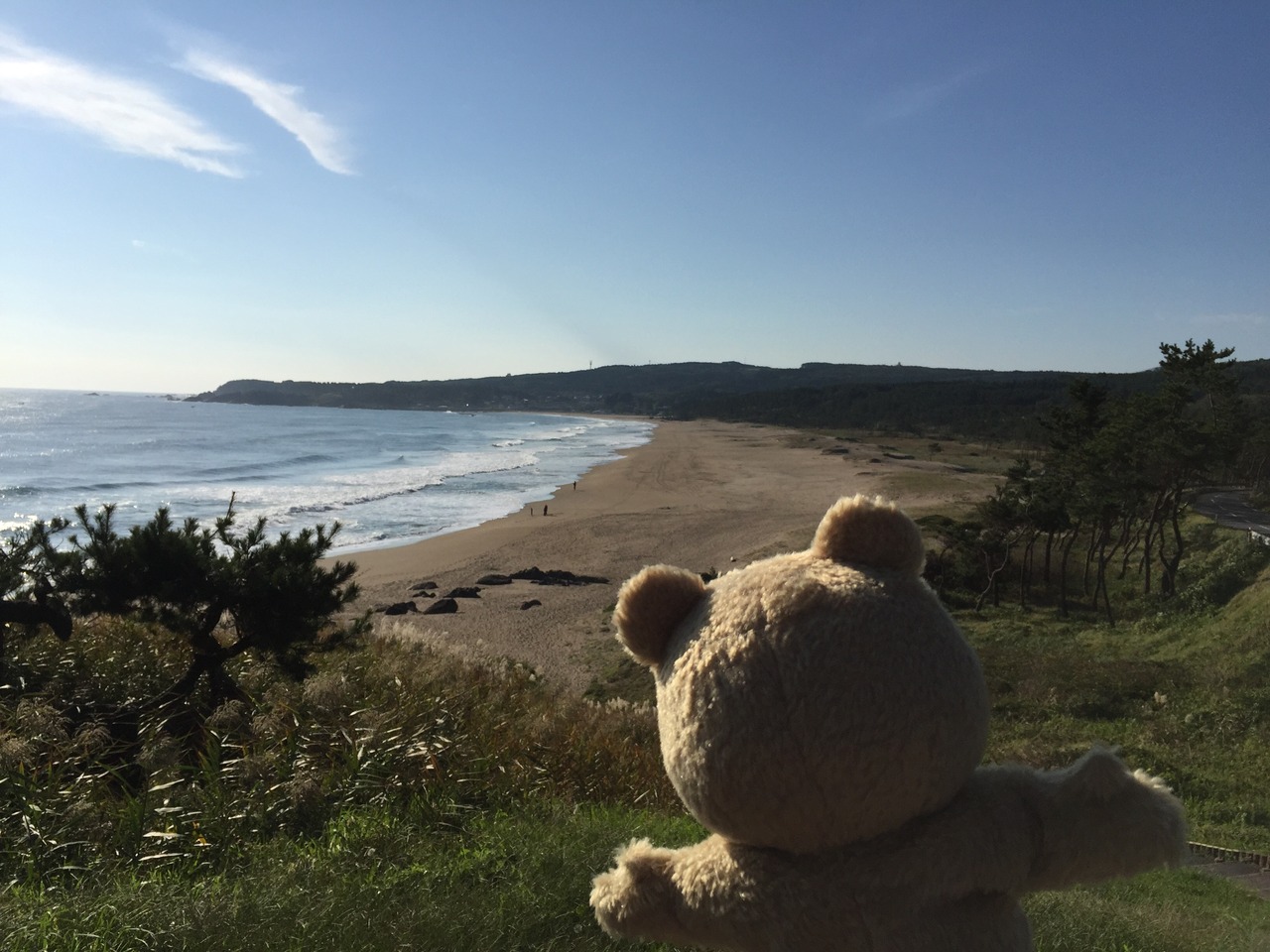 青森県 やっとわかった なぜ 種差海岸がハイドラ観光名所なのか 八戸 青森県 の旅行記 ブログ By もふもふpさん フォートラベル