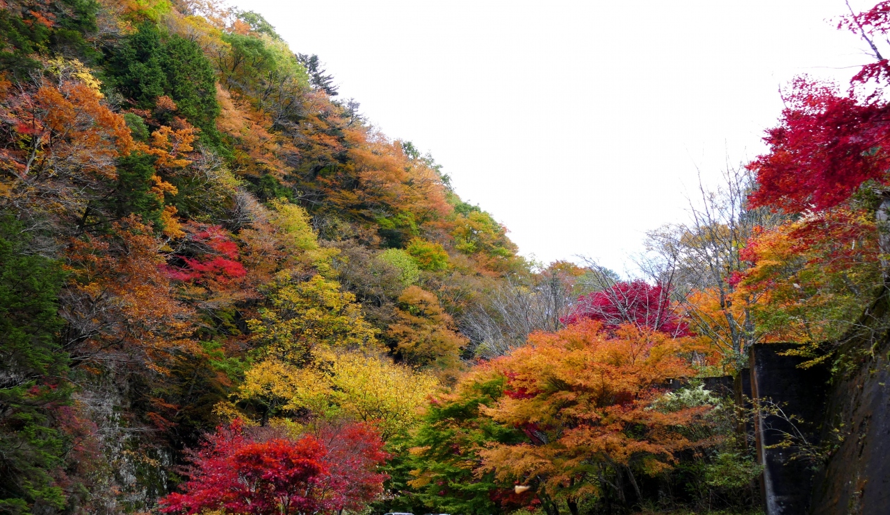 みたらい渓谷の紅葉がピーク 渋滞もピーク 洞川温泉 大峰山 天川 奈良県 の旅行記 ブログ By むかいのトトロさん フォートラベル