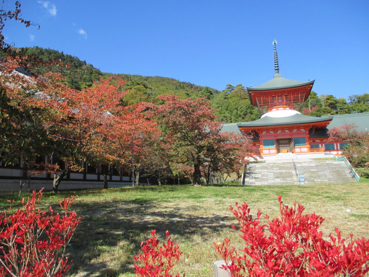 美しき秋の善光寺雲上殿 長野市 長野県 の旅行記 ブログ By タビユキコさん フォートラベル
