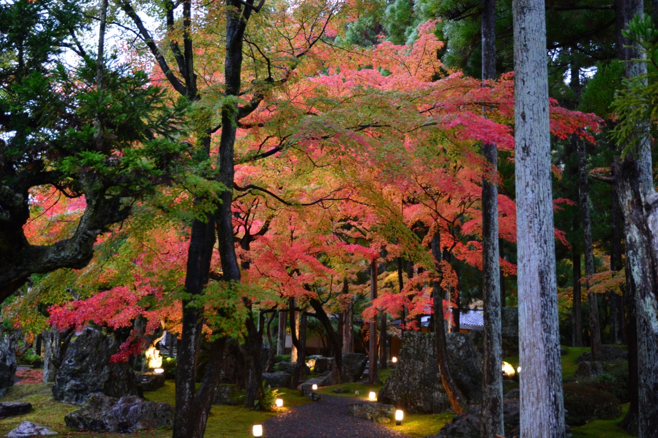 京都紅葉情報 鷹峯しょうざんリゾート北庭の見事な紅葉 2015年11月8日 今出川 北大路 北野 京都 の旅行記 ブログ By ふらっとちょっとさん フォートラベル 京都紅葉情報 鷹峯しょうざんリゾート北庭の見事な紅葉 2015年11月8日 今出川 北大路 北野 京都 の旅行記 ブログ By ふらっとちょっとさん フォートラベル