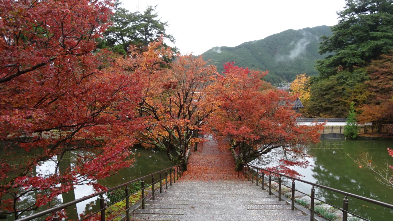 丹波の紅葉巡り 04 氷上町 円通寺の紅葉 丹波 兵庫 兵庫県 の旅行記 ブログ By Hn11さん フォートラベル 丹波の紅葉巡り 04 氷上町 円通寺の紅葉 丹波 兵庫 兵庫県 の旅行記 ブログ By Hn11さん フォートラベル