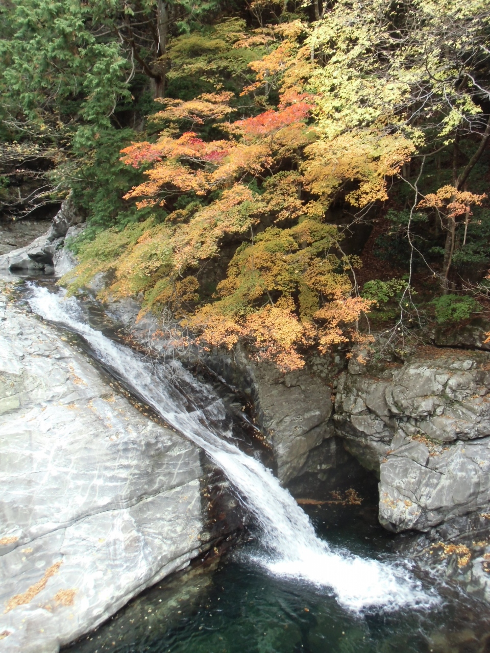 みたらい渓谷 高野山 熊野本宮大社の紅葉 1 洞川温泉 大峰山 天川 奈良県 の旅行記 ブログ By まやさん フォートラベル みたらい渓谷 高野山 熊野本宮大社の紅葉 1 洞川温泉 大峰山 天川 奈良県 の旅行記 ブログ By まやさん フォートラベル