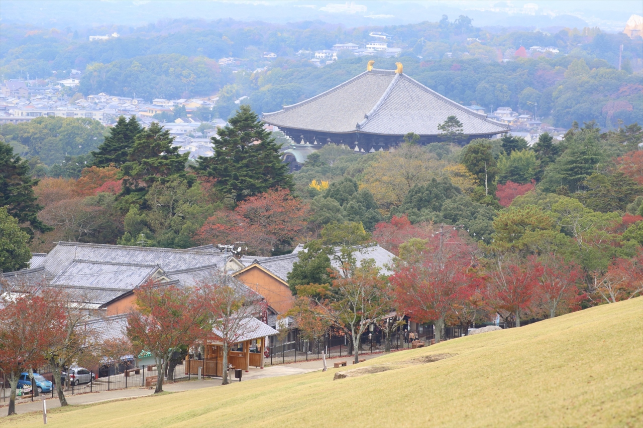 奈良公園の紅葉 奈良市 奈良県 の旅行記 ブログ By ぺこにゃんさん フォートラベル