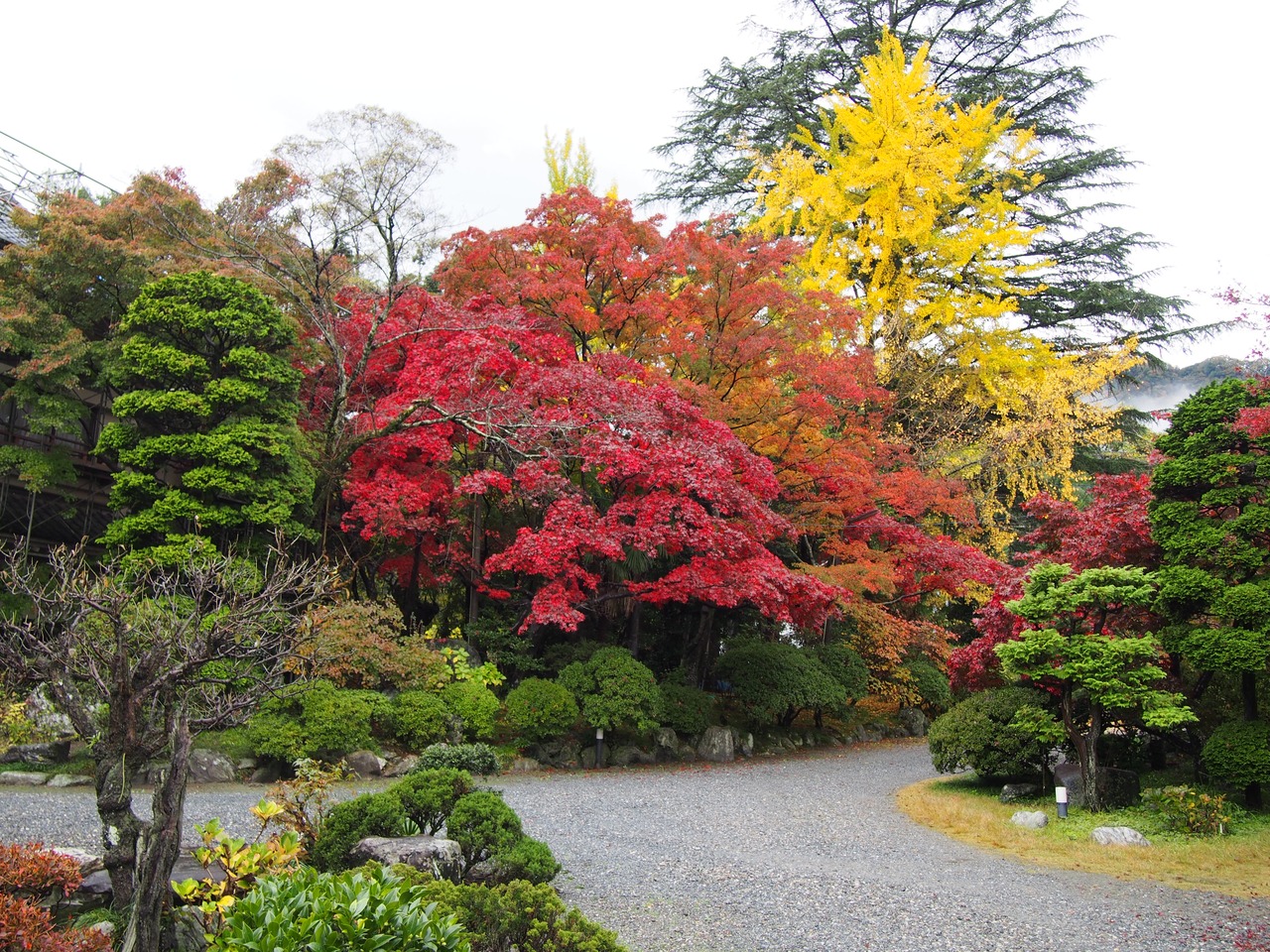 冬桜とみかん狩りに温泉と盛り沢山の旅 藤岡 群馬県 の旅行記 ブログ By Nagi015さん フォートラベル