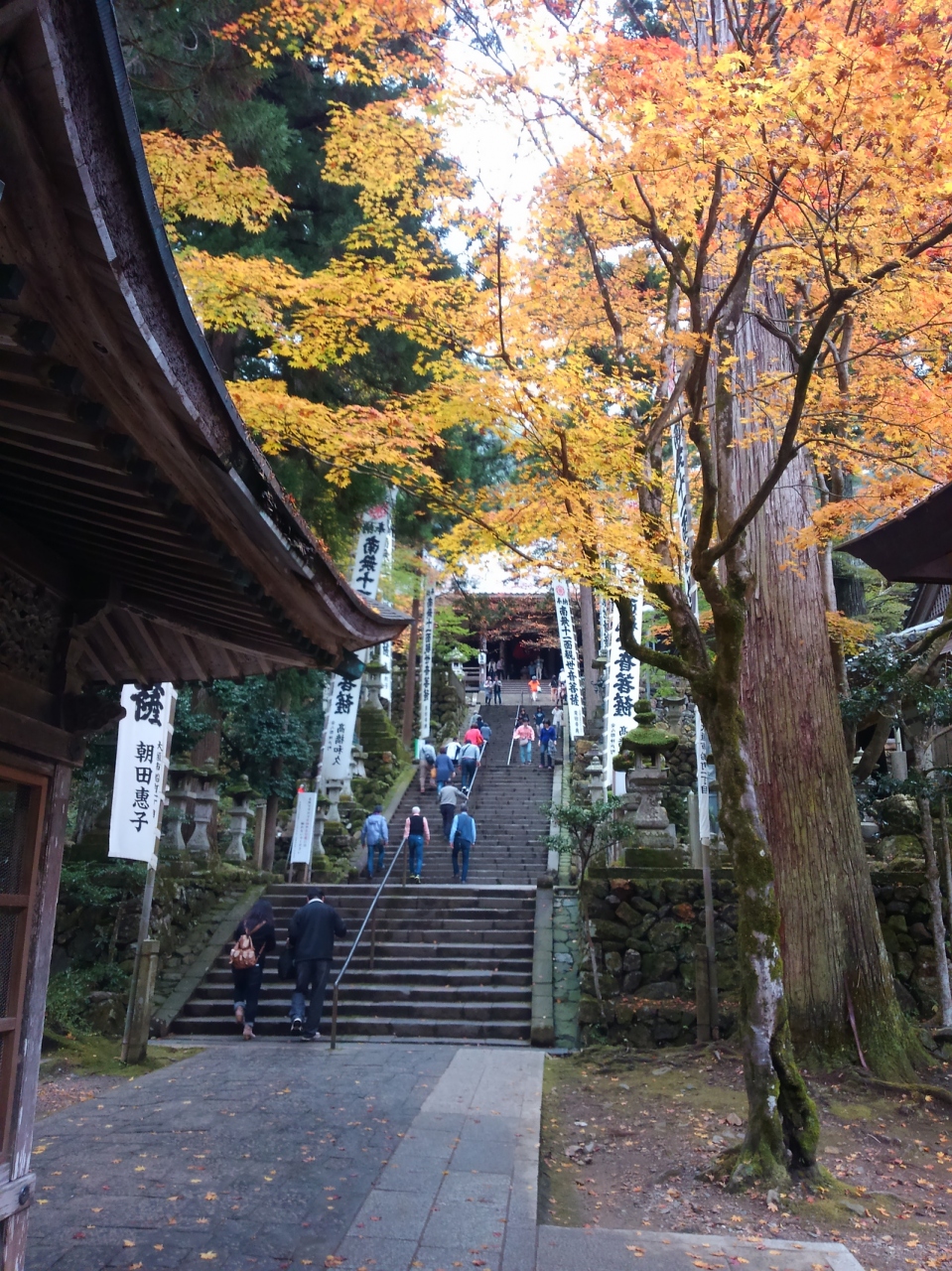 谷汲山 華厳寺の紅葉を満喫中 揖斐川 岐阜県 の旅行記 ブログ By Melonpanさん フォートラベル