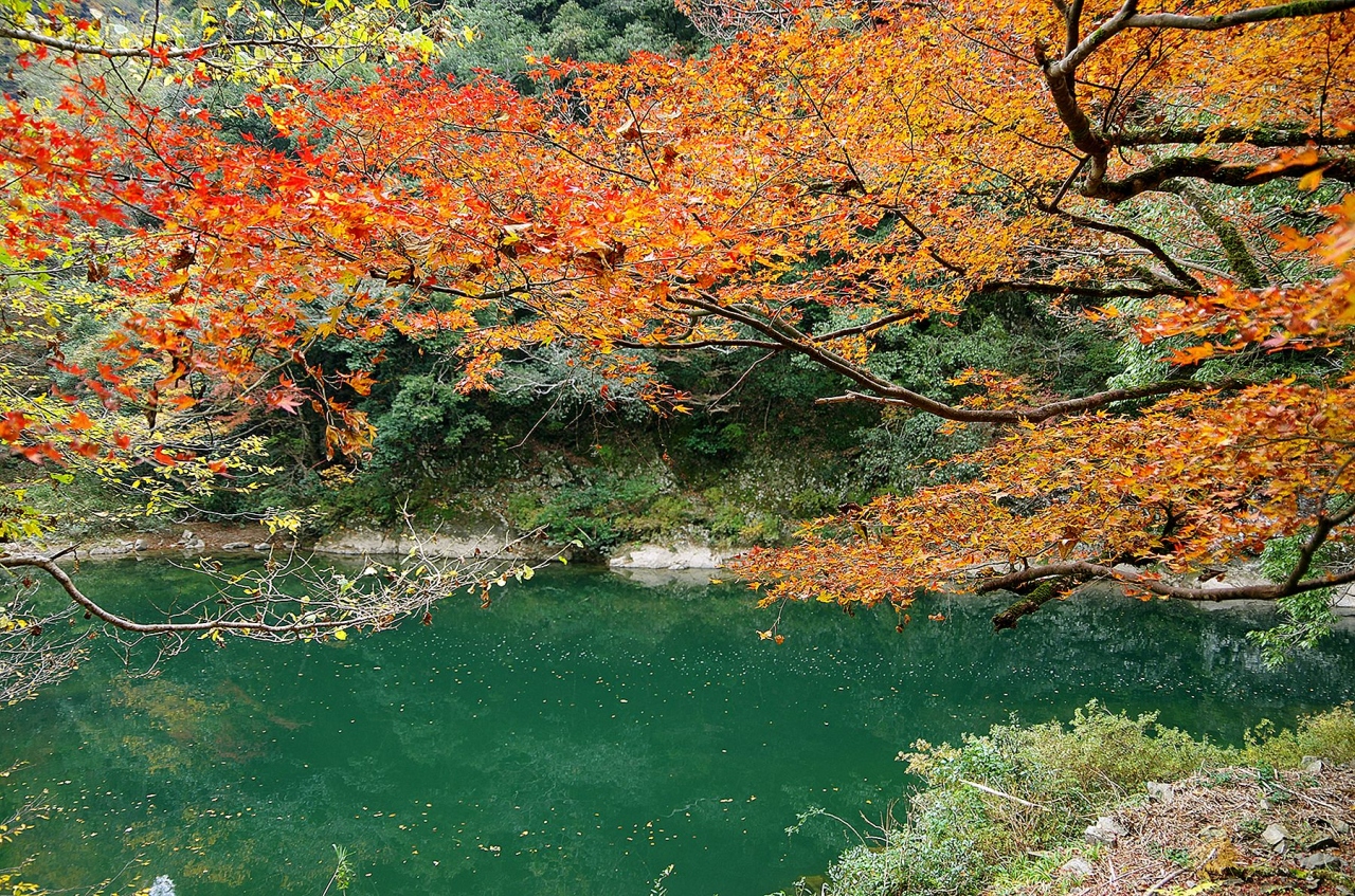 秋が深まる名勝長門峡に行って来ました 萩 山口県 の旅行記 ブログ By 風待人さん フォートラベル 秋が深まる名勝長門峡に行って来ました 萩 山口県 の旅行記 ブログ By 風待人さん フォートラベル