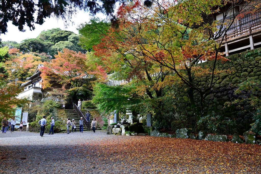 両子寺から両子山へ 国東 くにさき 姫島 大分県 の旅行記 ブログ By 気まぐれなデジカメ館さん フォートラベル