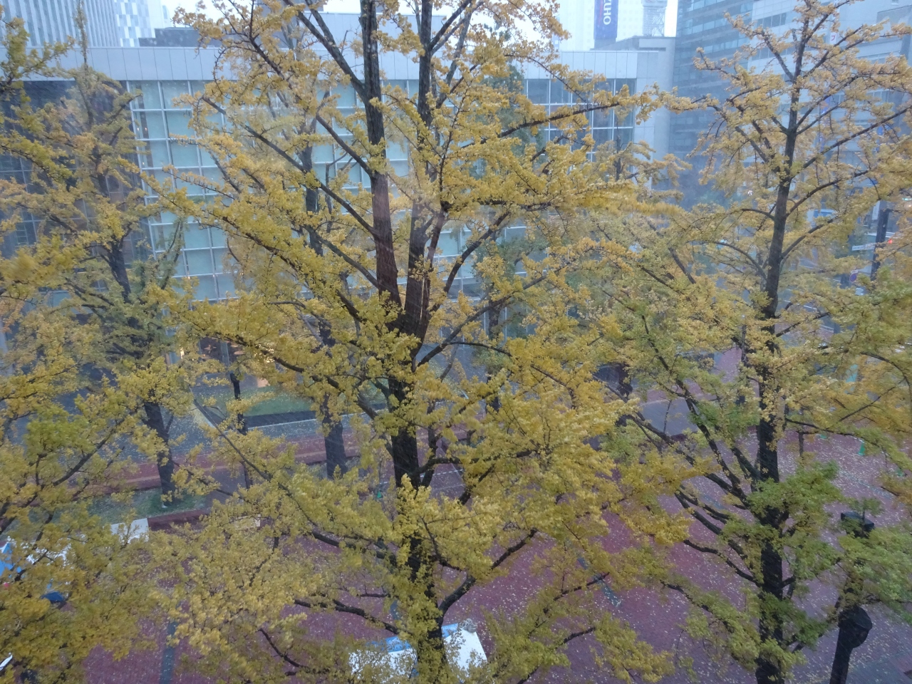 10月の札幌は吹雪だった 札幌市内編 札幌 北海道 の旅行記 ブログ By ちゃまさん フォートラベル