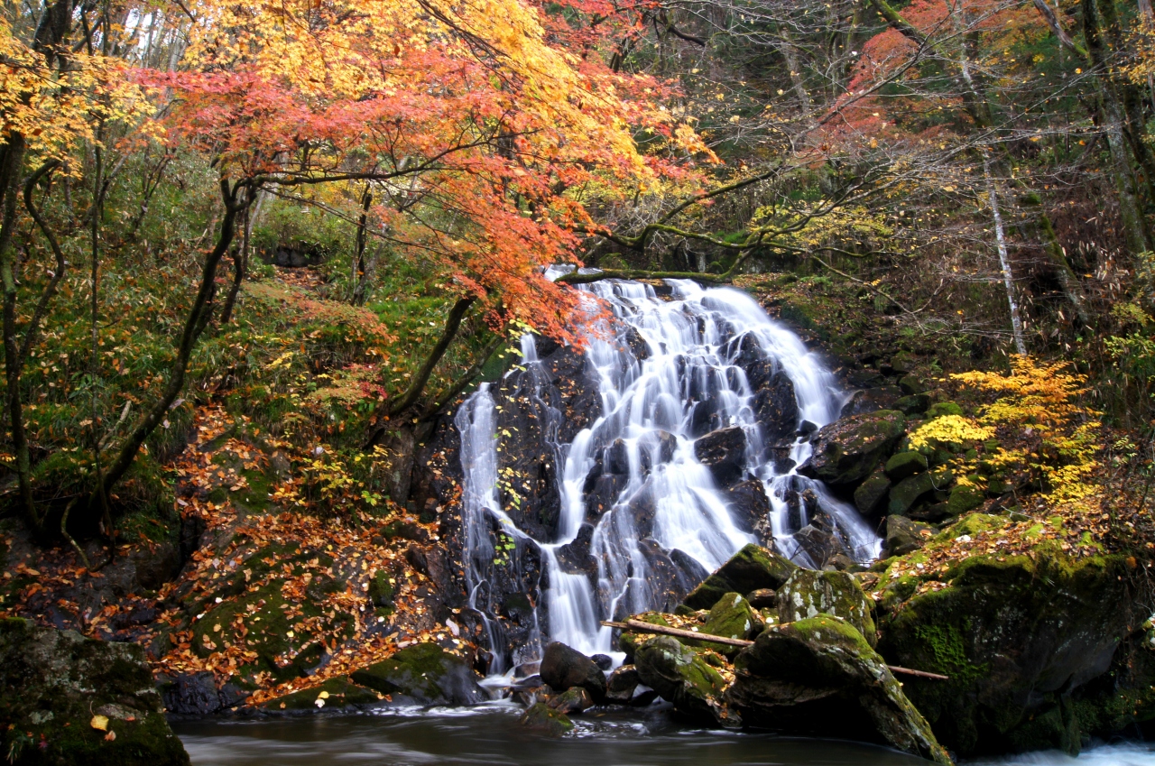 晩秋の鮫川村 江竜田の滝の紅葉 東白川 石川 福島県 の旅行記 ブログ By J Ryuさん フォートラベル