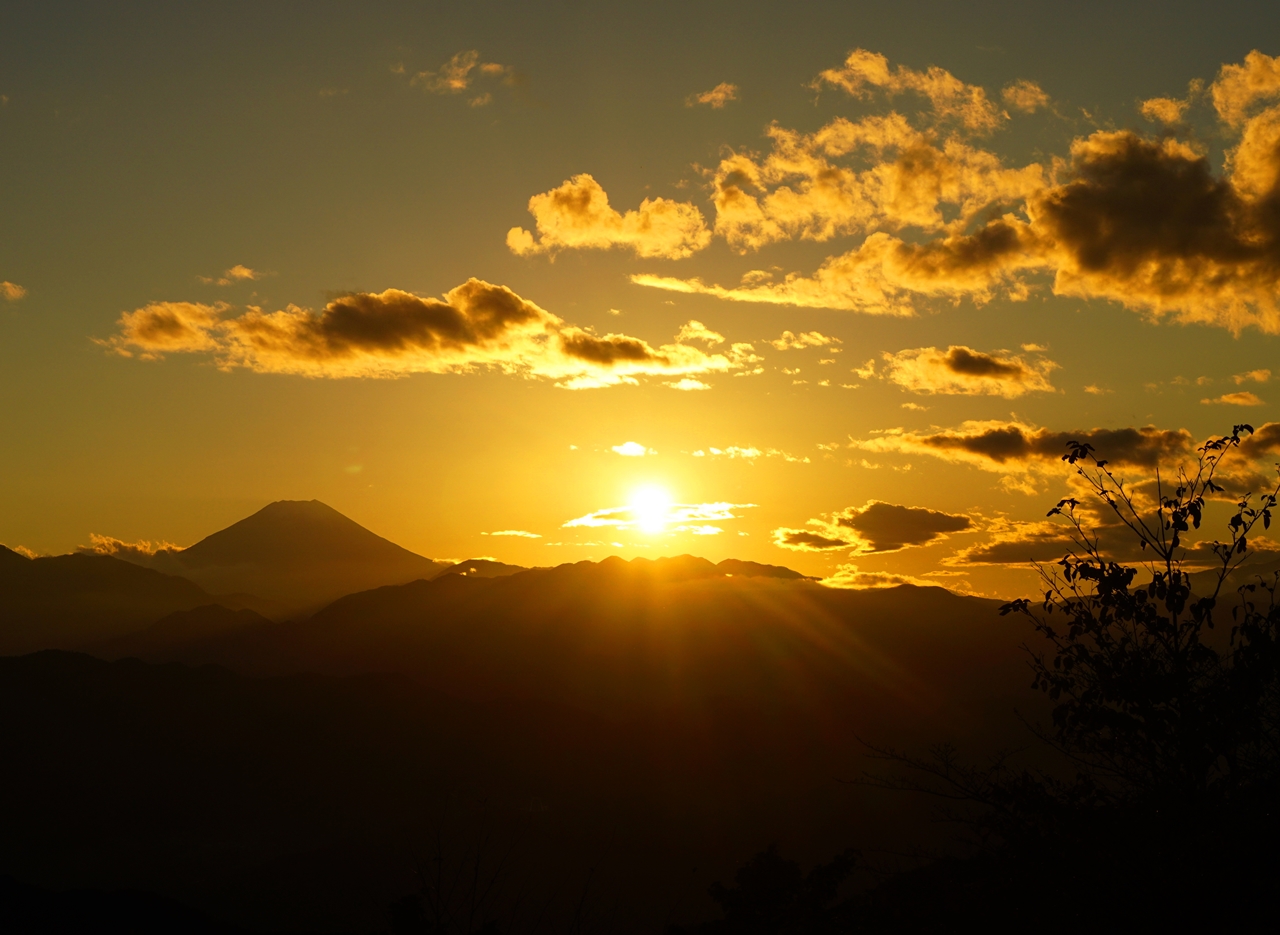 高尾山ハイキング 紅葉と夕焼け 高尾 八王子 東京 の旅行記 ブログ By みやっちさん フォートラベル