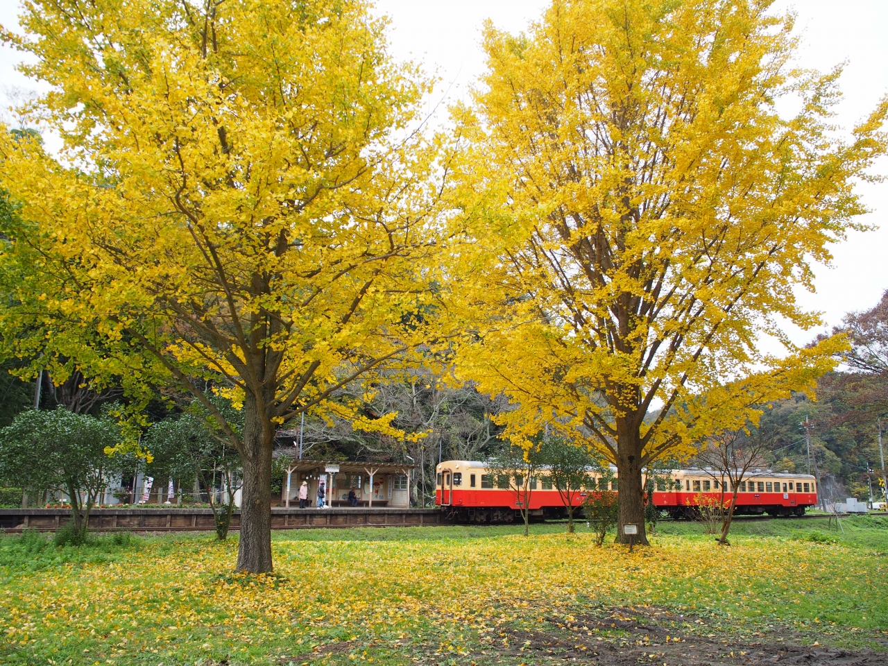 晩秋の小湊鉄道とアートいちはら15秋 市原 千葉県 の旅行記 ブログ By みささん フォートラベル