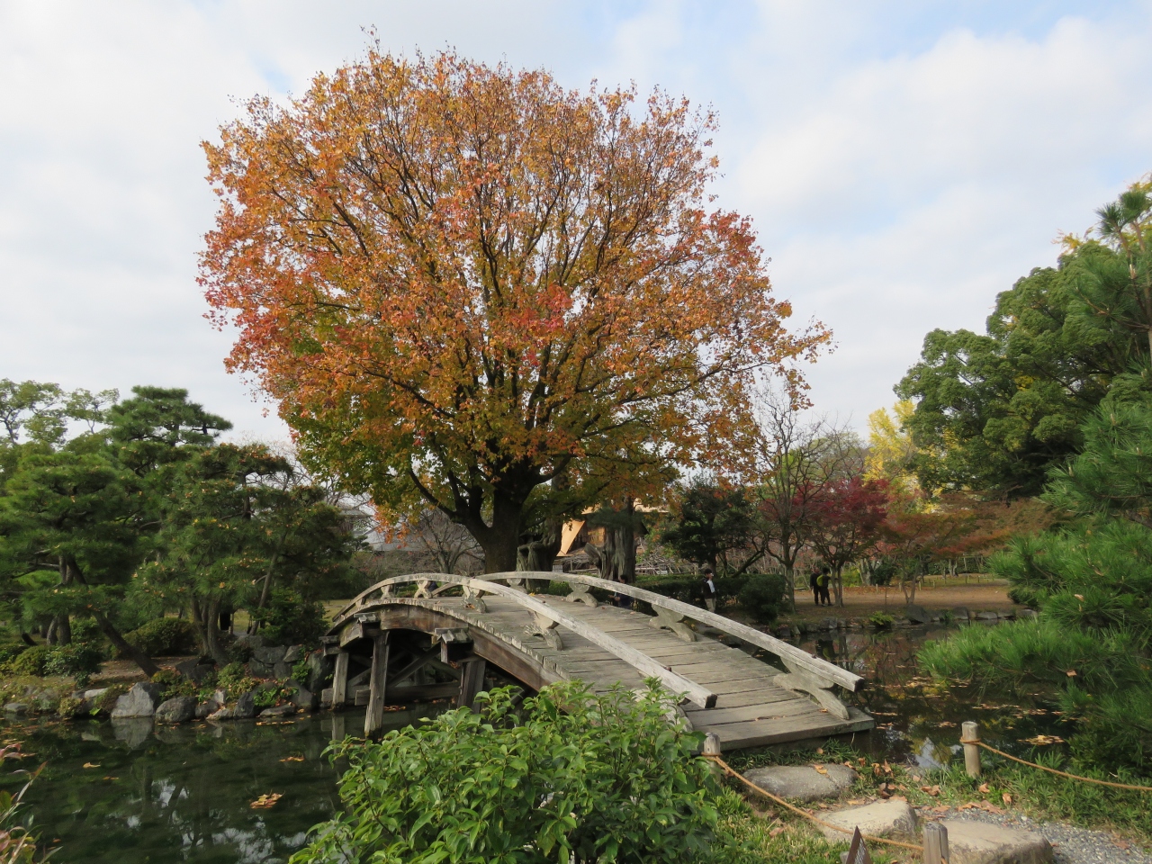 琵琶湖バレイ 京都 渉成園 紅葉を見に行きました 志賀 滋賀県 の旅行記 ブログ By ふわっくまさん フォートラベル