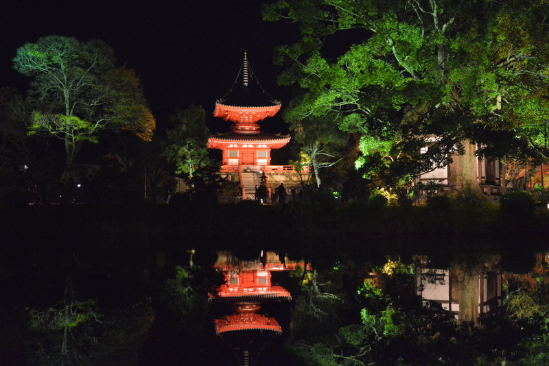 嵯峨野 大覚寺 必殺のライトアップ 15年 嵐山 嵯峨野 太秦 桂 京都 の旅行記 ブログ By 鴨川の夕立 さん フォートラベル