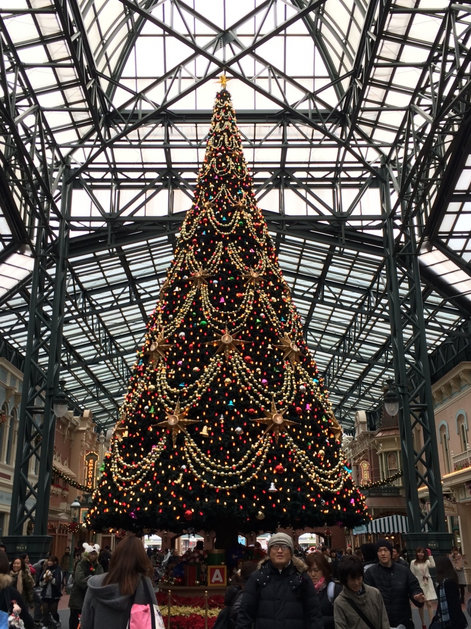 今年最後のディズニーランド!ミラコスタでランチもしたよ。』東京