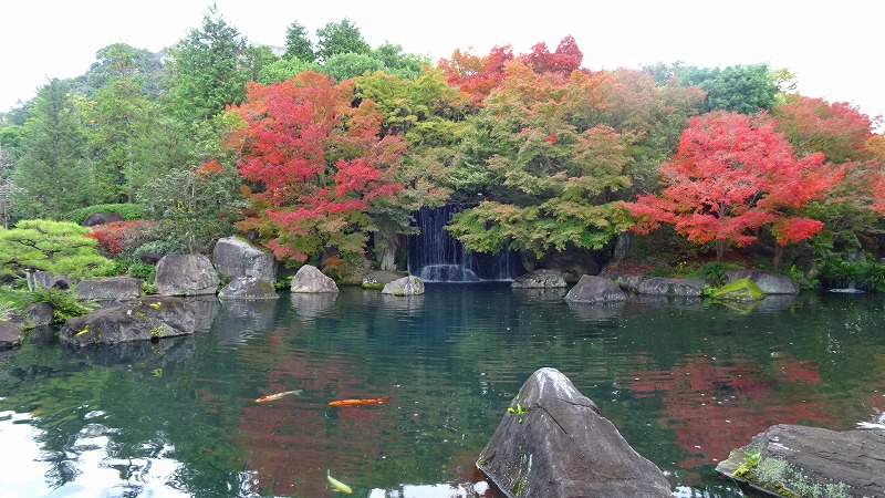 姫路城西御屋敷跡庭園 好古園の紅葉 上巻 姫路 兵庫県 の旅行記 ブログ By Hn11さん フォートラベル