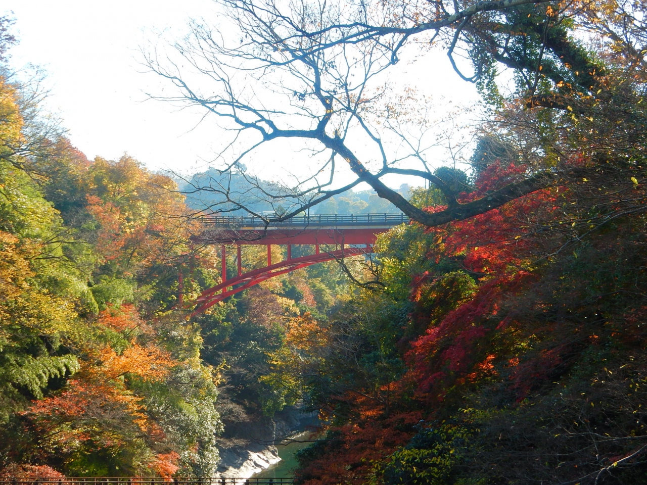 猿橋 富士五湖２０１５紅葉 １ 猿橋 大月 山梨県 の旅行記 ブログ By アイガーさん フォートラベル