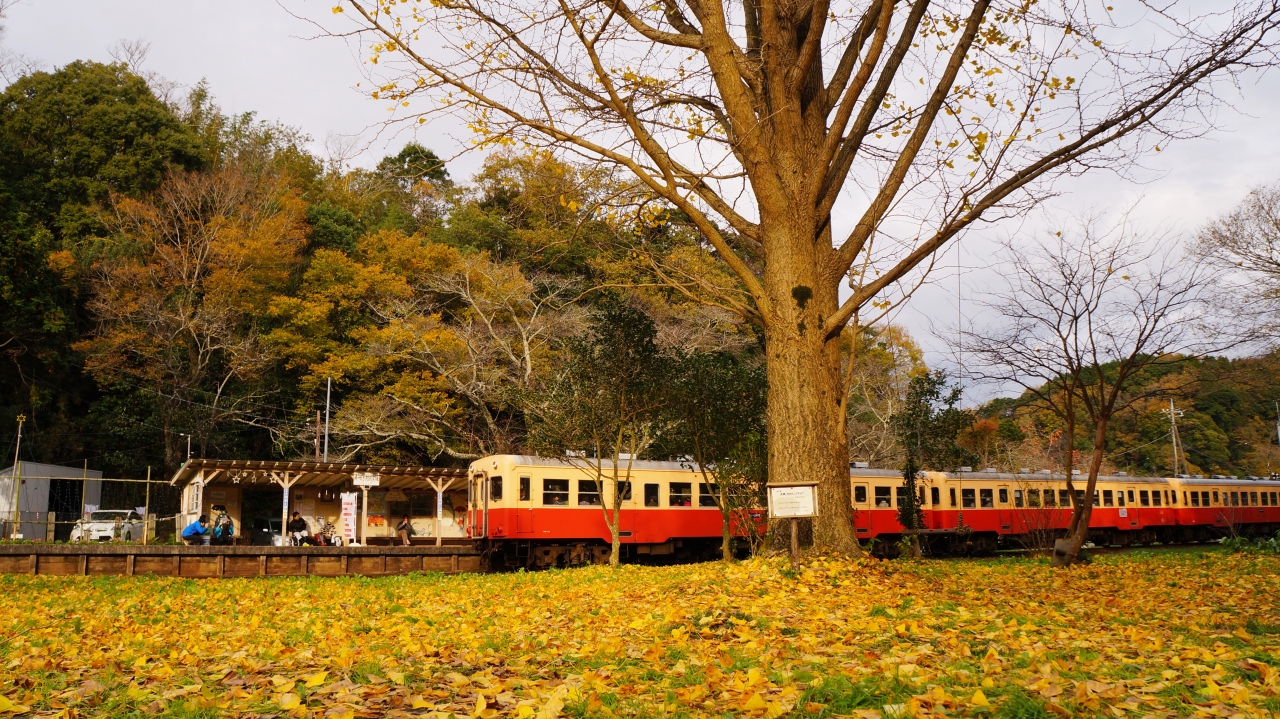 ジャムロールと小湊鉄道沿線 市原 千葉県 の旅行記 ブログ By 小鈴さん フォートラベル