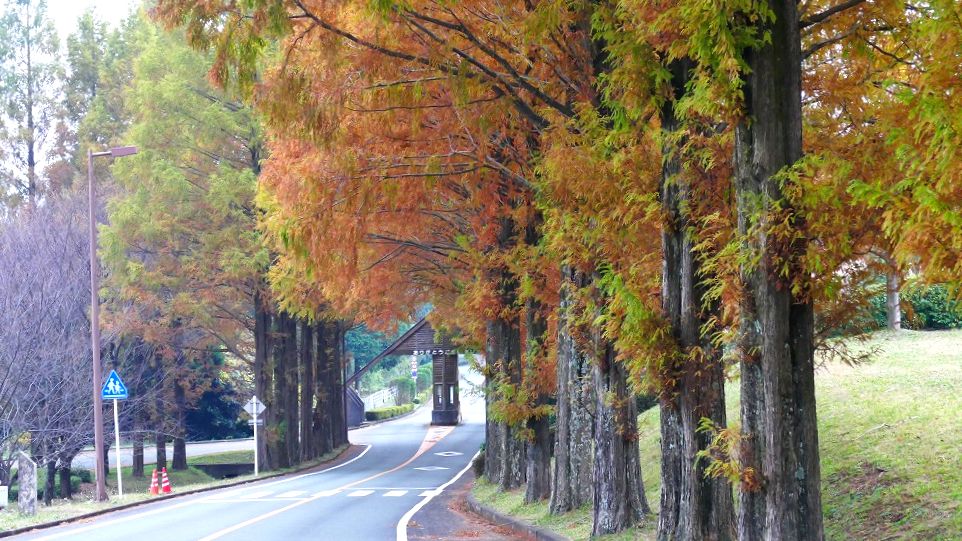 15晩秋哀愁九州ツーリング グリーンピア南阿蘇はこんなとこ 熊本県の旅行記 ブログ By むかいのトトロさん フォートラベル