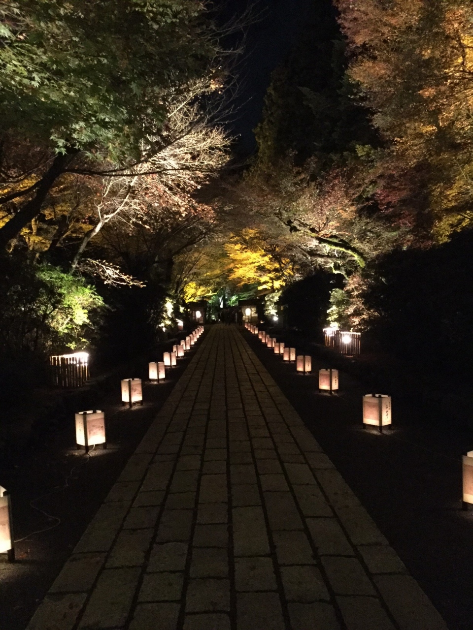 今年は近江神宮 三井寺 近江八幡に石山寺ライトアップへgogo 名古屋飯を求めて寄り道したら思いがけず観光も楽しめた旅 ２日目後半は石山寺ライトアップ 見学 石山寺周辺 滋賀県 の旅行記 ブログ By 葵さん フォートラベル