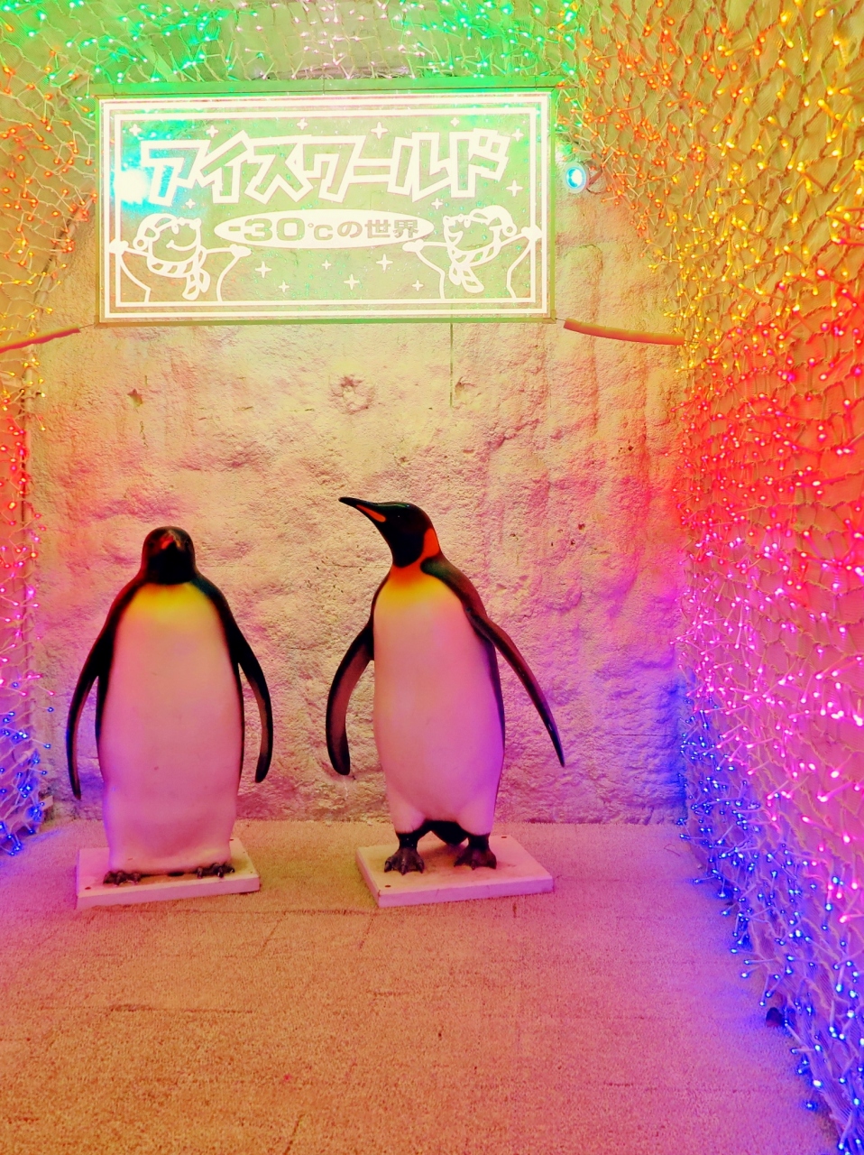 国営ひたち海浜公園 6 アイスワールド 零下30度を体感 イルミネーション輝く ひたちなか 茨城県 の旅行記 ブログ By マキタン２さん フォートラベル