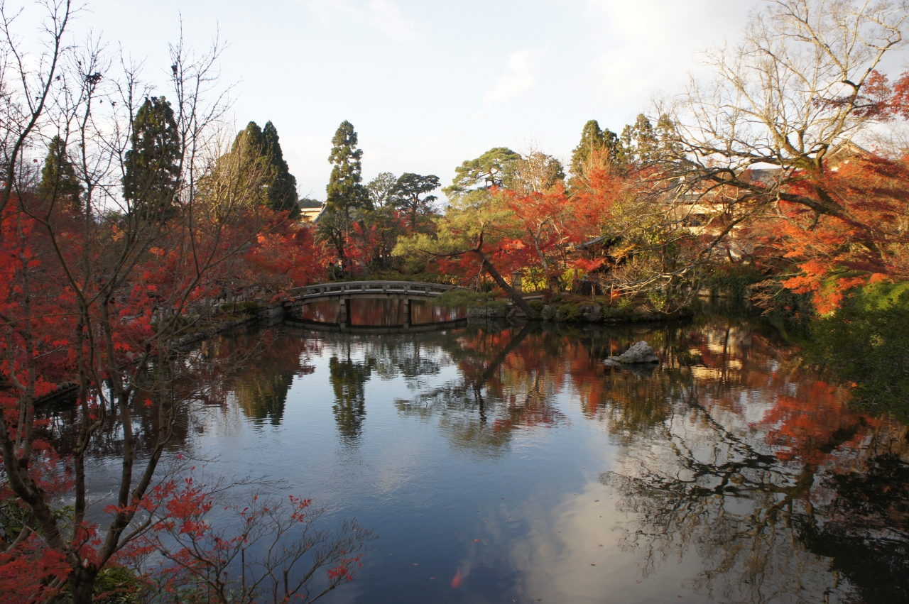 見たぜ 2015 京都府 永観堂の紅葉は見頃というには少し遅かったかな 将軍塚からの京都市内の景色はよかった in 永観堂 下鴨 宝ヶ池 平安神宮 京都 の旅行記 ブログ By とらっちさん フォートラベル 見たぜ 2015 京都府 永観堂の紅葉は見頃というには少し遅かったかな 将軍塚からの京都市内の景色はよかった in 永観堂 下鴨 宝ヶ池 平安神宮 京都 の旅行記 ブログ By とらっちさん フォートラベル
