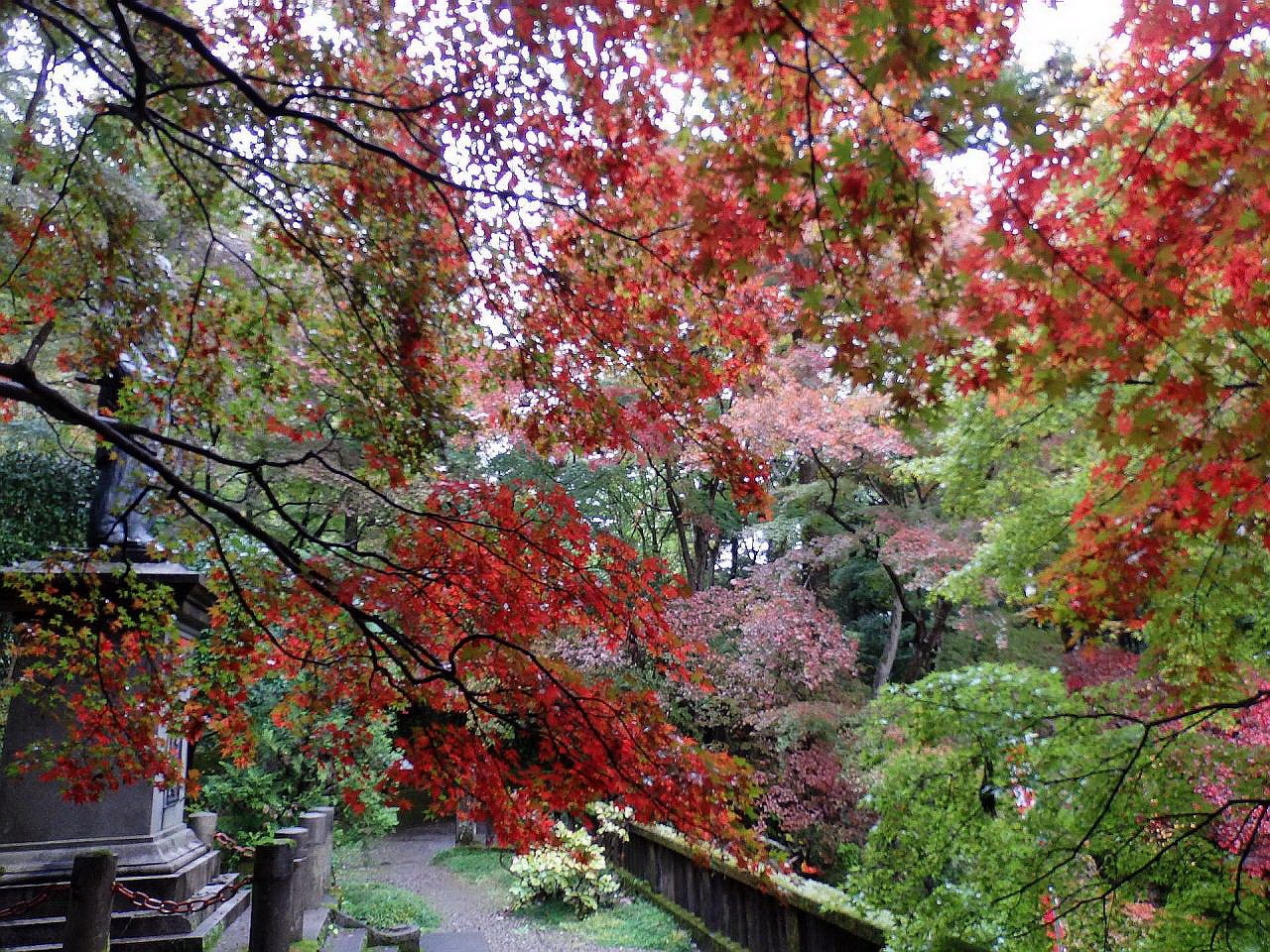 飯能 東郷公園の紅葉 飯能 埼玉県 の旅行記 ブログ By ペコちゃんさん フォートラベル