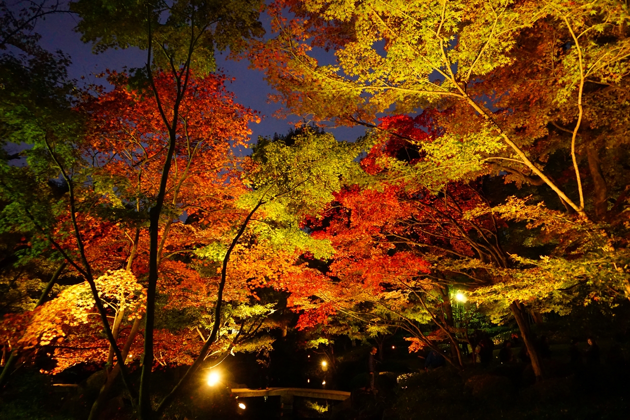 大田黒公園の紅葉 荻窪 西荻窪 東京 の旅行記 ブログ By みやっちさん フォートラベル